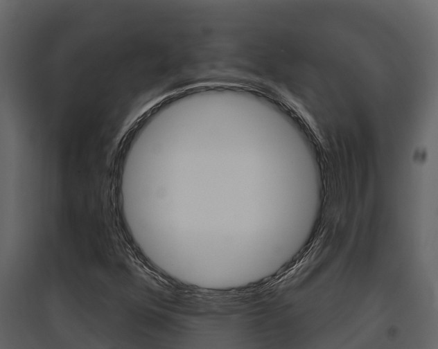 X0000097851352200803140847