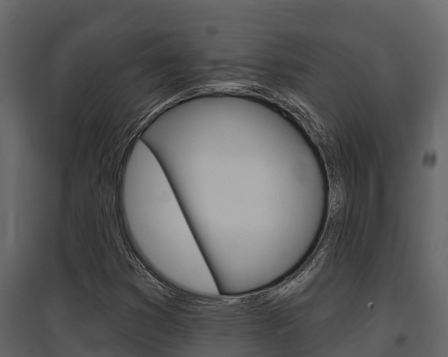 X0000097851353200803140847