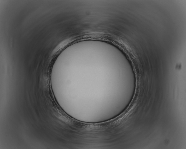 X0000097851354200803140847