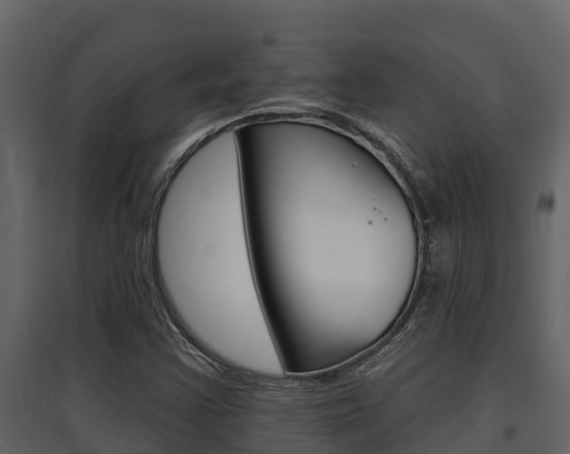 X0000097851355200803140847