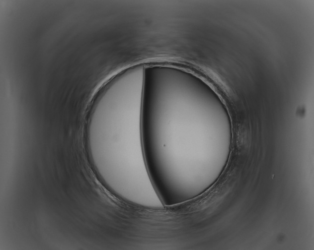 X0000097851356200803140847