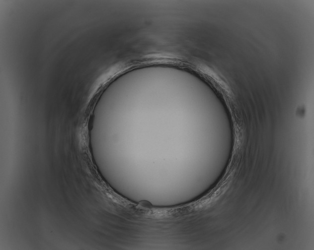 X0000097851357200803140847