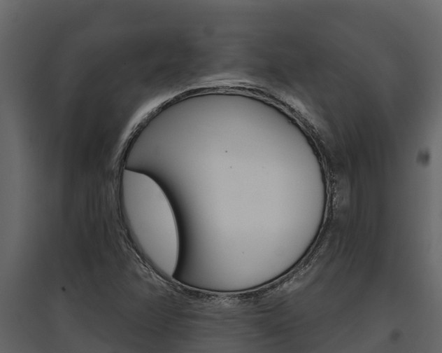 X0000097851358200803140847