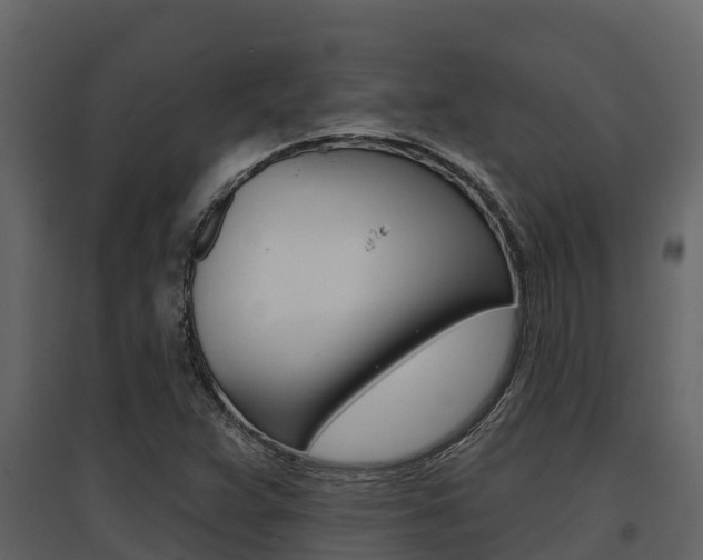 X0000097851359200803140847