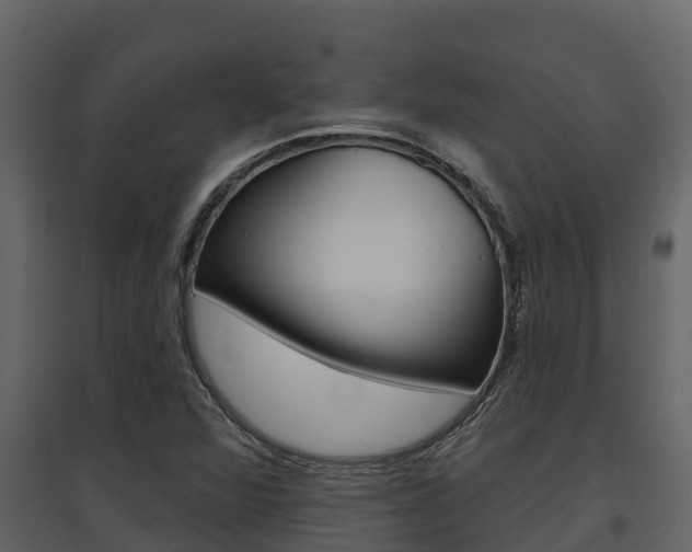 X0000097851360200803140847