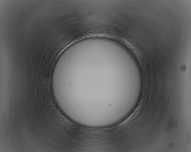 X0000097851361200803140847