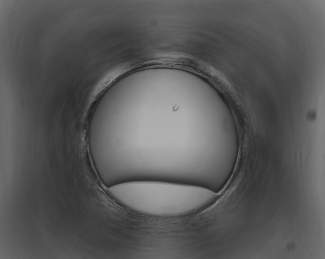 X0000097851362200803140847