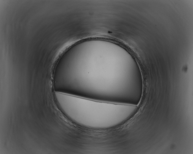 X0000097851363200803140847
