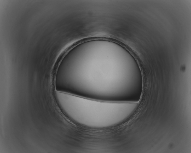 X0000097851364200803140847