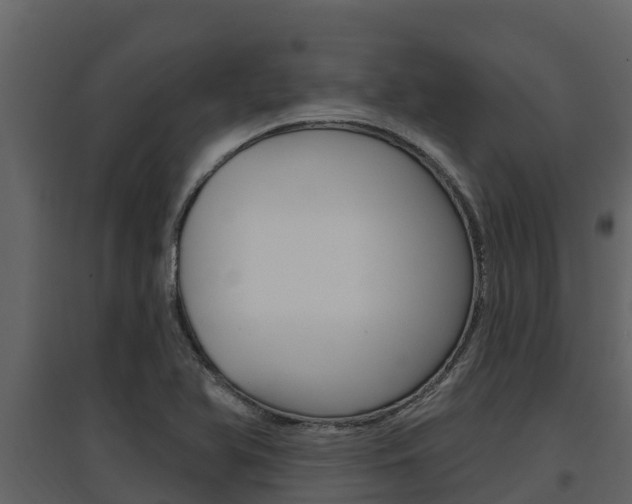 X0000097851366200803140847