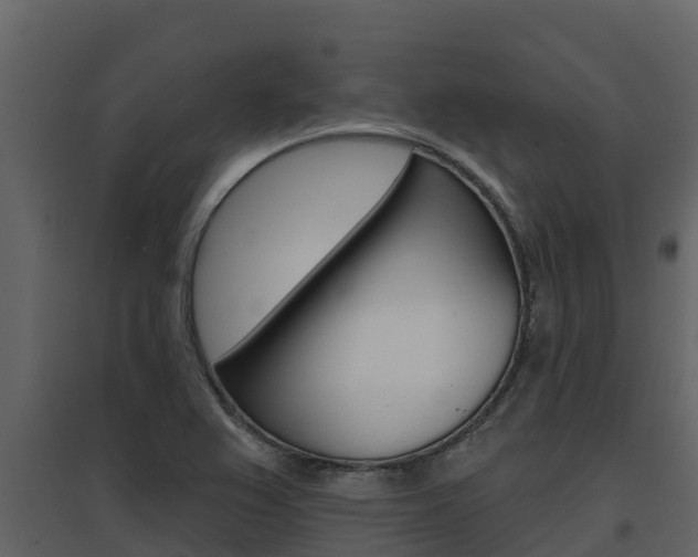 X0000097851367200803140847