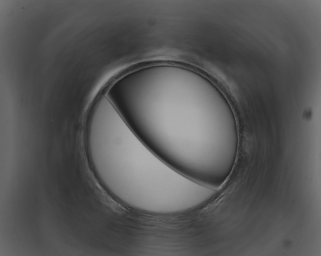X0000097851368200803140847