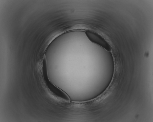 X0000097851369200803140847