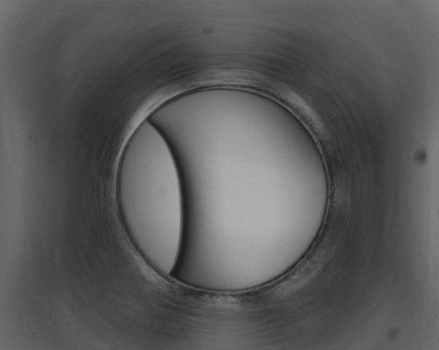 X0000097851370200803140847