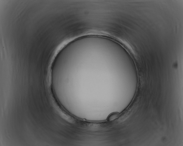 X0000097851371200803140847