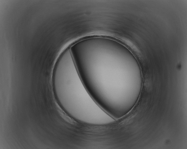 X0000097851372200803140847