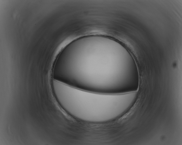 X0000097851373200803140847
