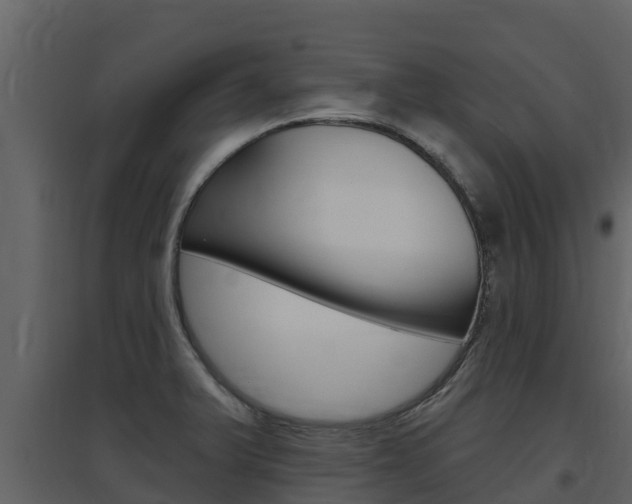 X0000097851375200803140847