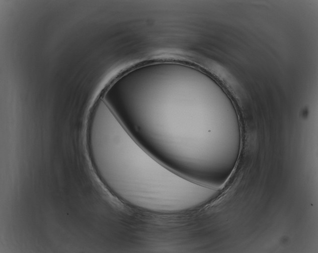 X0000097851376200803140847