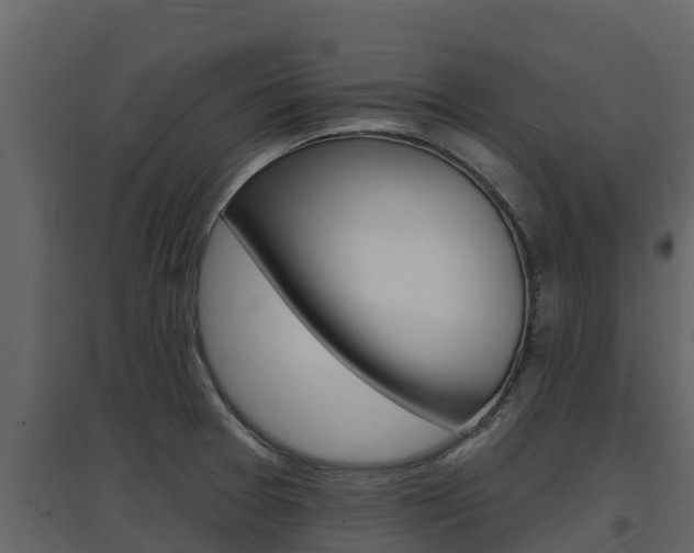 X0000097851377200803140847