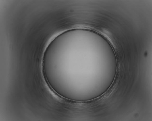 X0000097851379200803140847