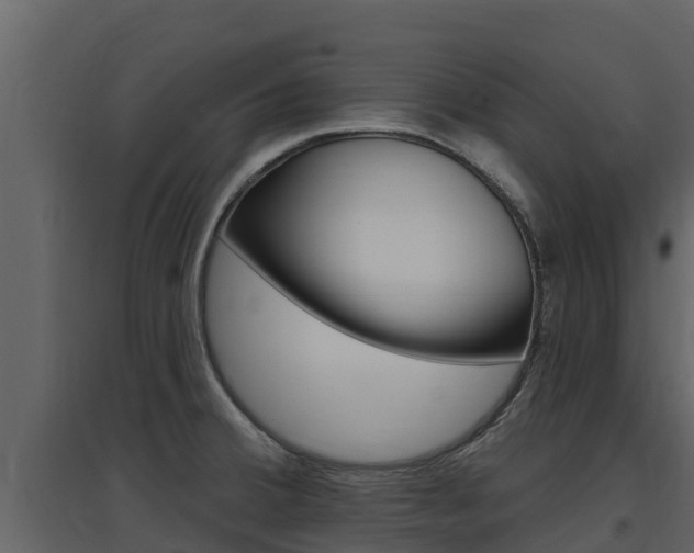 X0000097851380200803140847