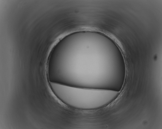X0000097851381200803140847