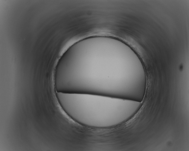 X0000097851382200803140847
