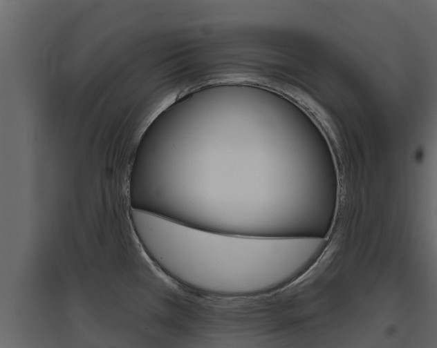 X0000097851385200803140847