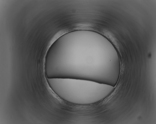 X0000097851386200803140847