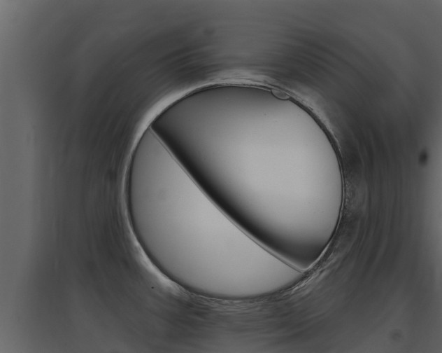 X0000097851387200803140847