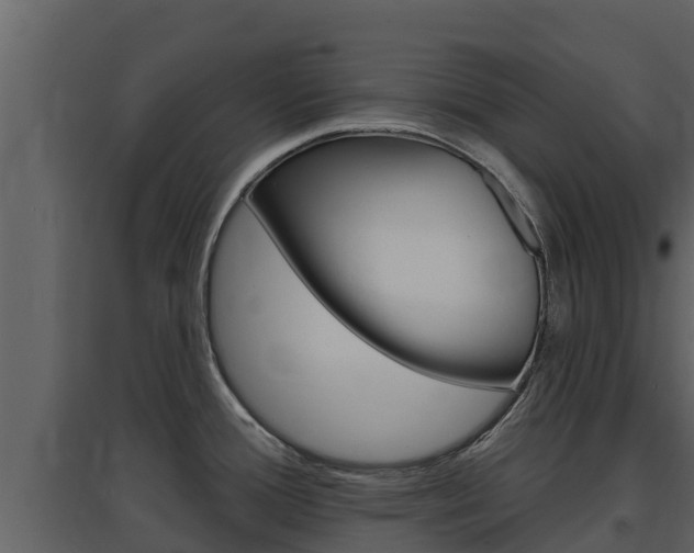 X0000097851388200803140847