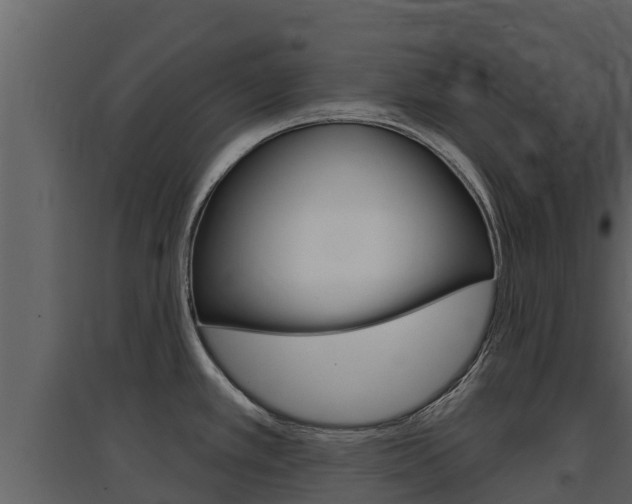 X0000097851389200803140847