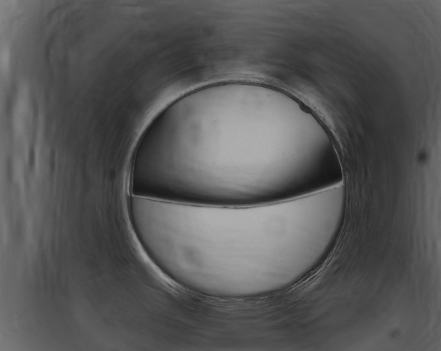 X0000097851391200803140847