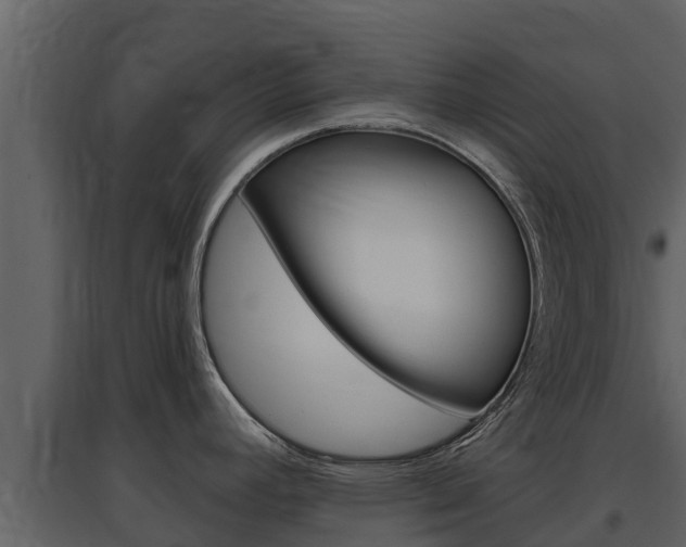 X0000097851392200803140847