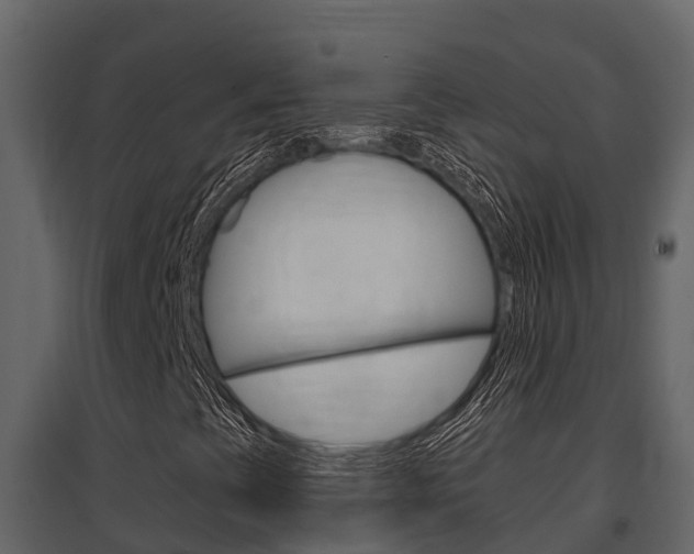 X0000097851393200803140846