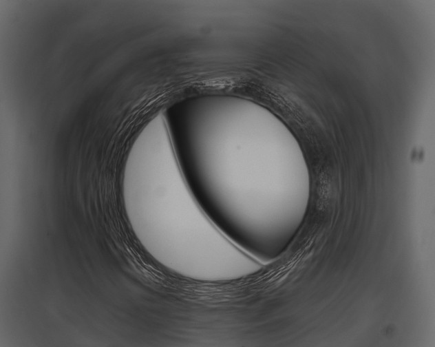 X0000097851394200803140846