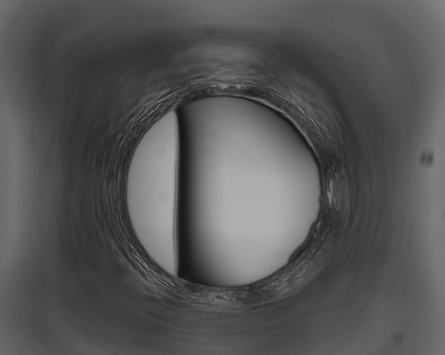 X0000097851396200803140846