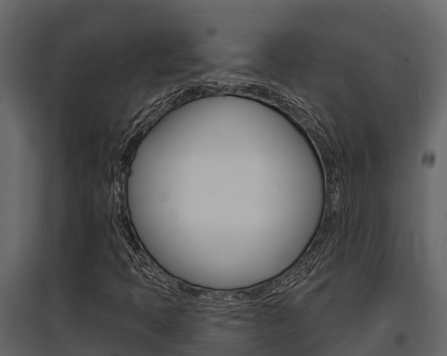 X0000097851397200803140846