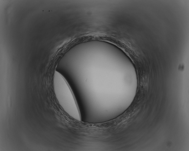X0000097851398200803140846