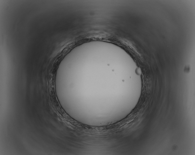 X0000097851399200803140846