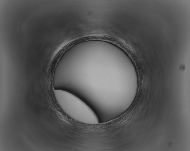 X0000097851400200803140846