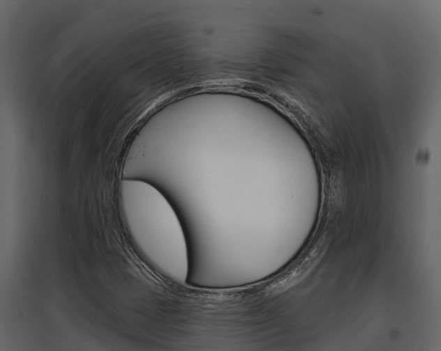 X0000097851401200803140846