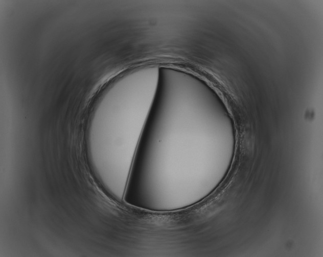 X0000097851402200803140846