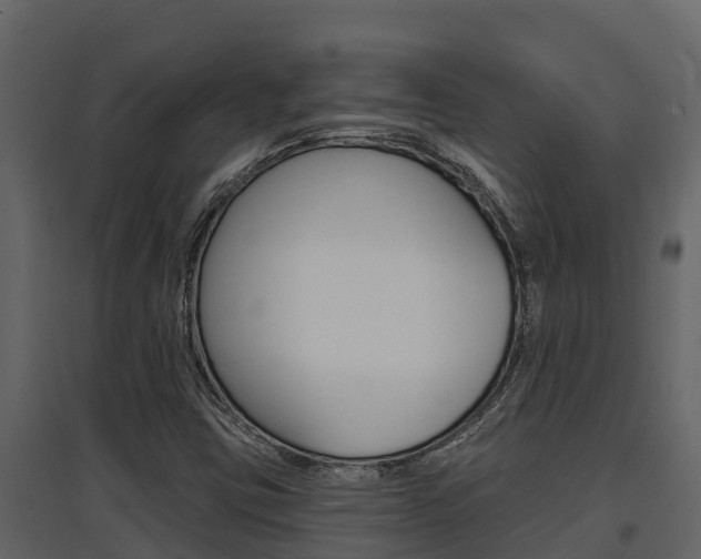 X0000097851403200803140846