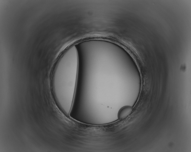 X0000097851404200803140846