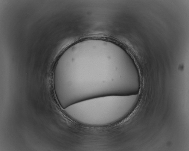 X0000097851405200803140846