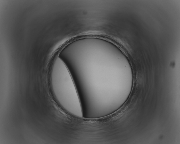 X0000097851406200803140846
