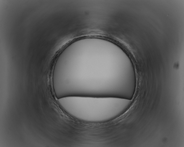X0000097851407200803140846