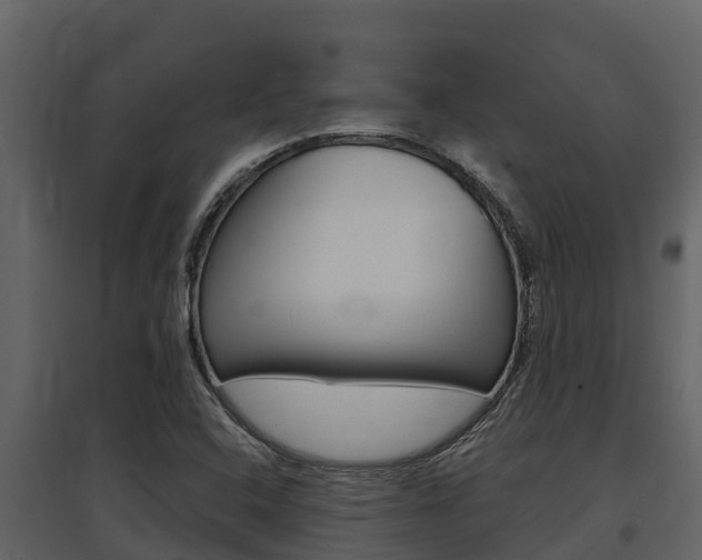 X0000097851408200803140846